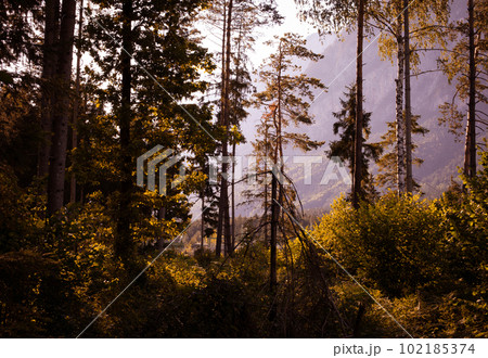 A mystical evening near mountains, quiet nature with scenic view, smog, forest, sunset, landscape. 102185374