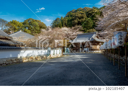 滋賀 三井寺 微妙寺の春景色 102185407