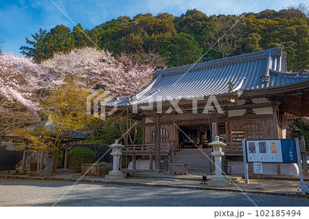 滋賀 三井寺 微妙寺の春景色 102185494