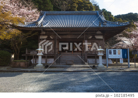 滋賀 三井寺 微妙寺の春景色 滋賀 三井寺 微妙寺の春景色 102185495