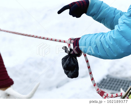 雪の上でエチケット袋を持つ人の手 102189377