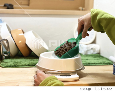 早食い防止食器に餌を入れる手元 早食い防止食器に餌を入れる手元 102189382