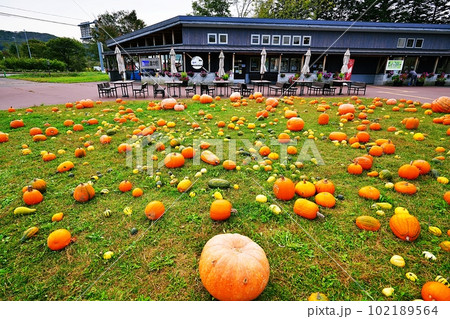 道の駅 阿寒丹頂の里 クレインズテラス 道の駅 阿寒丹頂の里 クレインズテラス 102189564