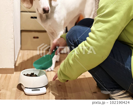 エサの準備をする人と待つ犬 エサの準備をする人と待つ犬 102190424