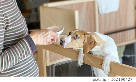 ケージを乗り越えてエサを待つ犬_ワイド 102190427