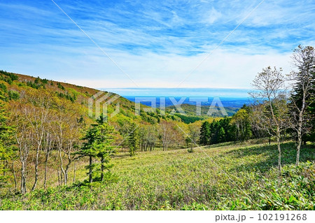 鶴見峠から望む釧路湿原方面 鶴見峠から望む釧路湿原方面 102191268
