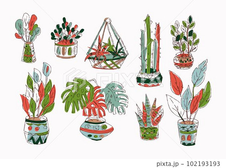 Indoor plants isolated vector colorful hand draw illustration collection Monstera, cactus, ficus, sansevieria, zamioculcas Potted houseplants 102193193