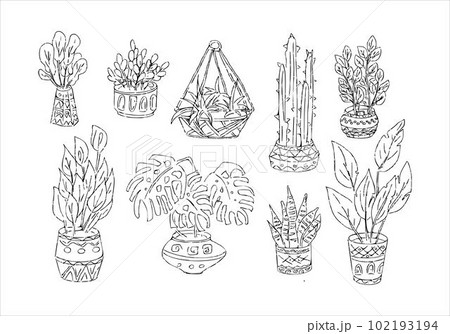 Indoor plants vector hand draw illustration collection Monstera, cactus, ficus, sansevieria, zamioculcas Potted houseplants sketch set 102193194