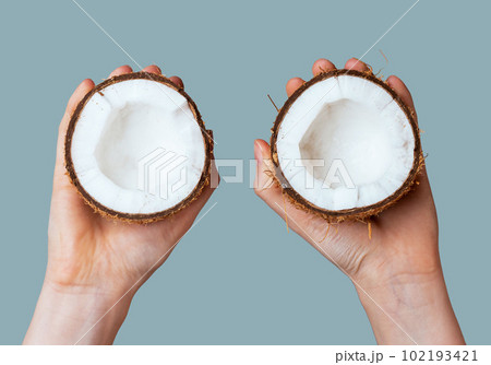 Hands holding two coconut pieces halves. Cross sections of coco nut fruit with ripe white flesh Hands holding two coconut pieces halves. Cross sections of coco nut fruit with ripe white flesh 102193421