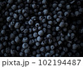 Frozen blueberries in dramatic light. Overhead view 102194487