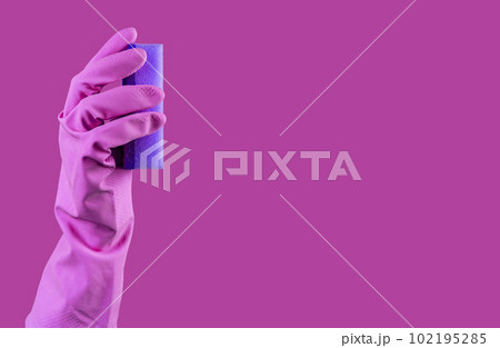 Hand in purple rubber glove holding violet washing sponge for cleaning. Banner background with copy space for text 102195285