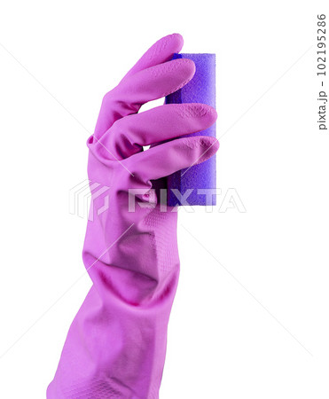 Hand in purple rubber glove holding violet washing sponge for cleaning isolated on white background Hand in purple rubber glove holding violet washing sponge for cleaning isolated on white background 102195286