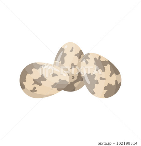Cartoon Color Whole Quail Egg Set Concept Flat Design Style . Vector illustration of Eggs Cartoon Color Whole Quail Egg Set Concept Flat Design Style . Vector illustration of Eggs 102199314