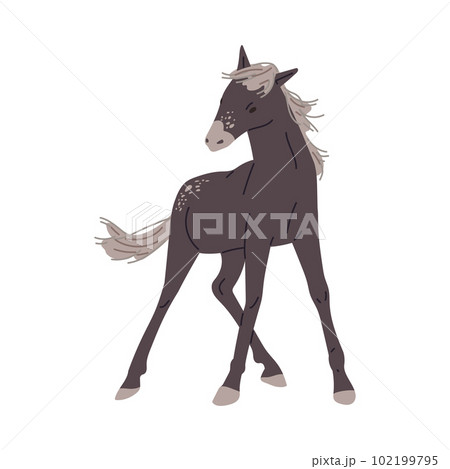 Horse or foal with mane fluttering in the wind flat vector illustration isolated. Horse or foal with mane fluttering in the wind flat vector illustration isolated. 102199795