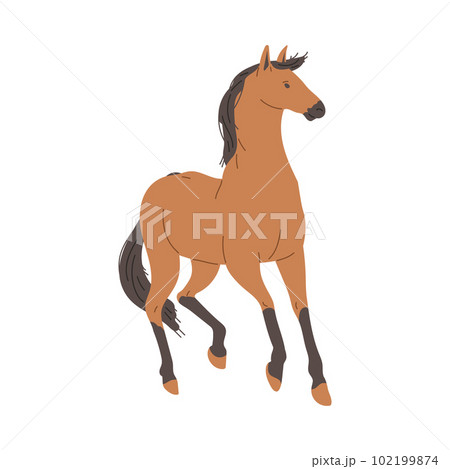 Brown horse animal full length, flat vector illustration isolated on white. Brown horse animal full length, flat vector illustration isolated on white. 102199874