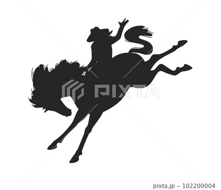 Black silhouette of cowboy riding horse, flat vector illustration isolated on white background. 102200004