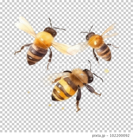 Watercolor Honey Bee. Illustration AI Generative 102200092