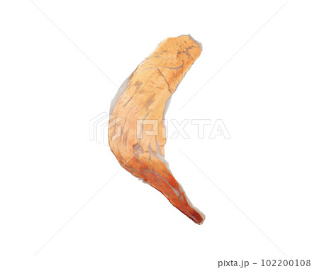 Slice of tasty prosciutto isolated on white 102200108