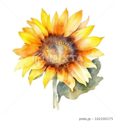 Watercolor sunflower isolated. Illustration AI Generative Watercolor sunflower isolated. Illustration AI Generative 102200175