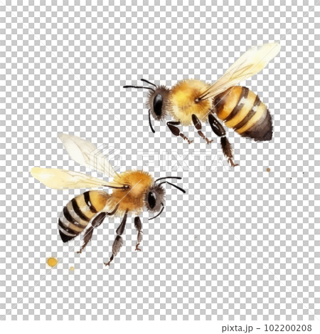 Watercolor Honey Bee. Illustration AI Generative 102200208