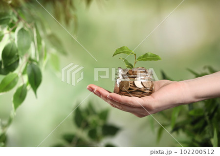Woman holding coins and green sprout on blurred background, closeup. Money savings Woman holding coins and green sprout on blurred background, closeup. Money savings 102200512