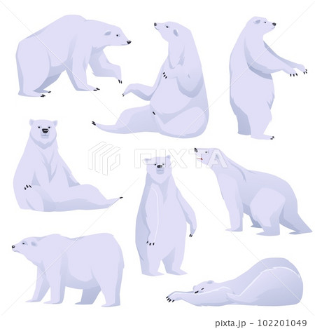 Polar bear in various poses set of animals, flat vector illustration isolated. 102201049