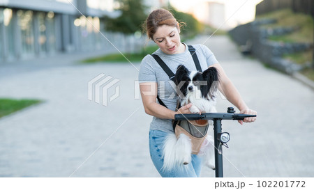 A woman rides an electric scooter with a dog in a backpack. Pappilion Spaniel Continental in a sling. 102201772