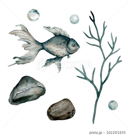 Set of sea animals poster. Blue, greeen, brown watercolor ocean stone, fish aquarium, seaweed. Nautical wildlife marine illustration Set of sea animals poster. Blue, greeen, brown watercolor ocean stone, fish aquarium, seaweed. Nautical wildlife marine illustration 102201835