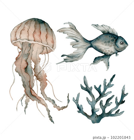 Set of sea animals poster. Blue, greeen, brown watercolor ocean shell, fish aquarium, coral, medusa. Nautical wildlife marine illustration 102201843
