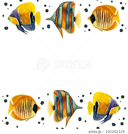 Square frame. Tropical fish of bright colors, drops on a white background. Everything is hand painted with watercolors. Ideal for printing, for postcards, business cards, invitations. 102202124