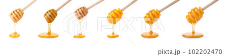 Set of organic delicious honey on white background. Banner design Set of organic delicious honey on white background. Banner design 102202470