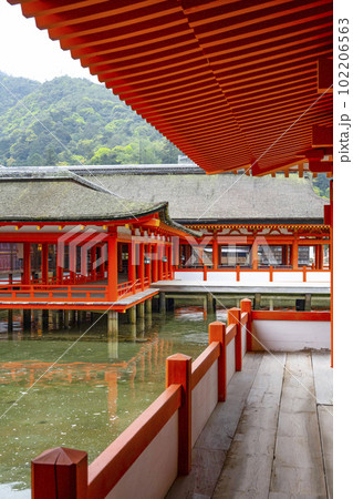 厳島神社　拝殿・祓殿 102206563