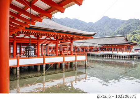 厳島神社　入口より本社本殿方向を見る 102206575