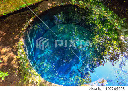 青い湧き水 102206663