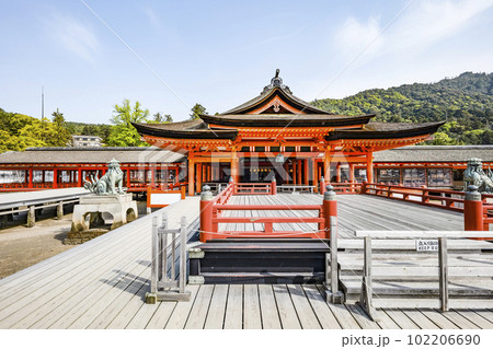 厳島神社　高舞台・本社本殿 102206690