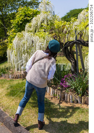 ふじの咲く丘　白い藤の花を眺める女性 102206754