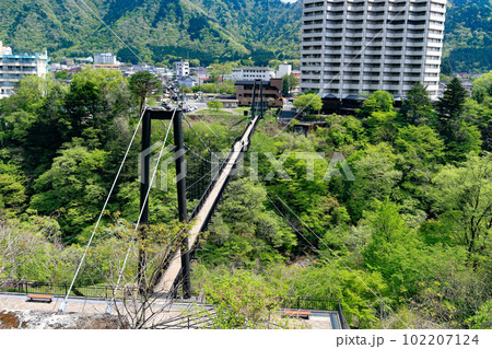 鬼怒楯岩大吊橋 102207124