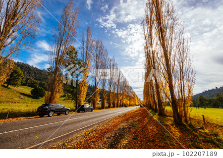 Gould Memorial Drive in Marysville in Australia Gould Memorial Drive in Marysville in Australia 102207189