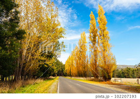 Gould Memorial Drive in Marysville in Australia Gould Memorial Drive in Marysville in Australia 102207193