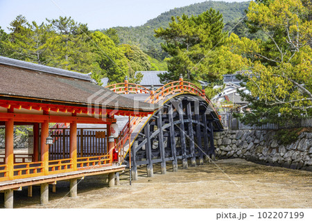厳島神社 反橋(勅使橋) 厳島神社 反橋(勅使橋) 102207199