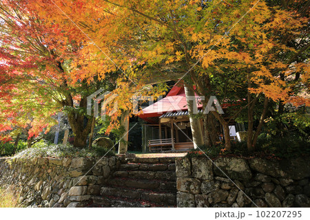 愛媛県砥部町　秋の川富神社 102207295