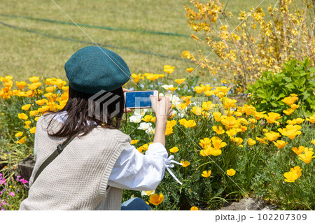 公園の花壇と女性の後姿 群馬県ふじの咲く丘 公園の花壇と女性の後姿 群馬県ふじの咲く丘 102207309