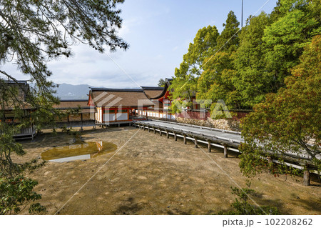 厳島神社　長橋・大国神社 102208262
