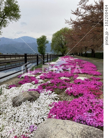 安曇野の春 安曇野の春 102208484