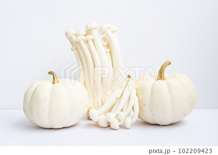 Monochromatic still life of vegetables. Little pumpkin and beech mushrooms on white. Monochromatic still life of vegetables. Little pumpkin and beech mushrooms on white. 102209423