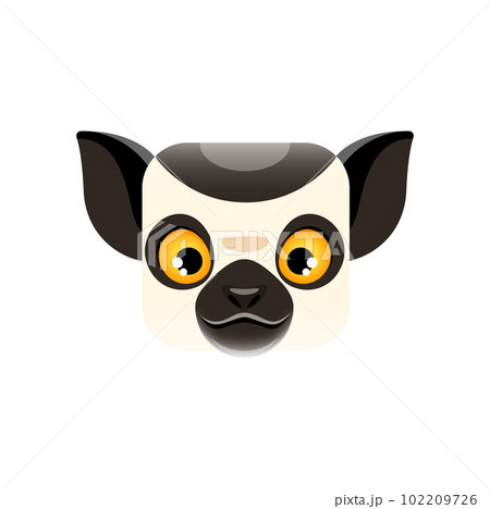 Cartoon lemur kawaii square animal face. Isolated vector Madagascar jungle character muzzle with big yellow eyes, funny exotic lemur portrait. App button, icon, graphic design element Cartoon lemur kawaii square animal face. Isolated vector Madagascar jungle character muzzle with big yellow eyes, funny exotic lemur portrait. App button, icon, graphic design element 102209726