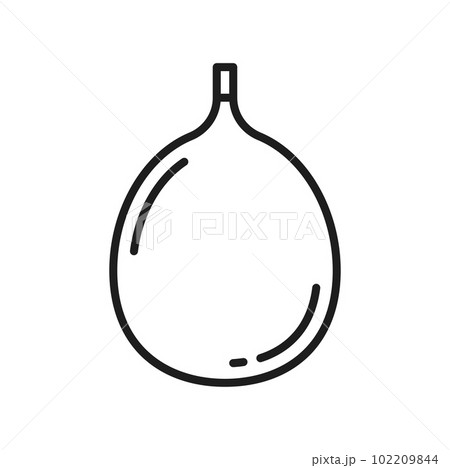 Fig whole cut fruit isolated exotic food berry line icon. Vector Thai food dessert, ripe summer cluster or sycamore fig, sweet snack 102209844
