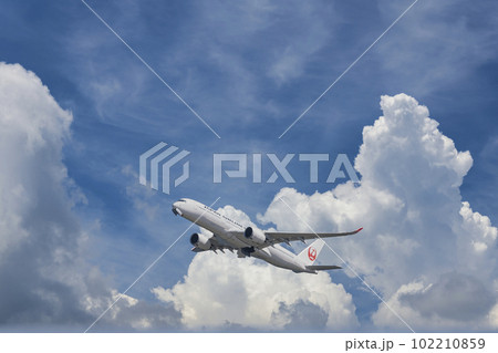 【京浜島つばさ公園上空を離陸したJAL機 　空合成】 102210859