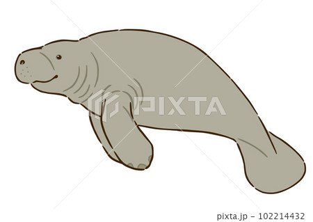 マナティー 102214432