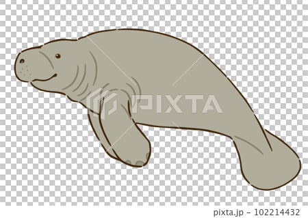 マナティー 102214432